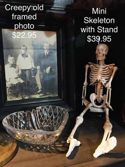 Mini Skeleton with Stand 17 inches Tall - Local Pick Up Only
